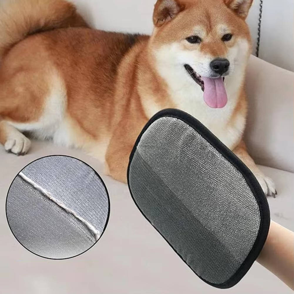 2-Piece Pet Hair Remover Set