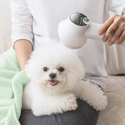 2-in-1 Smart Dog Hair Dryer